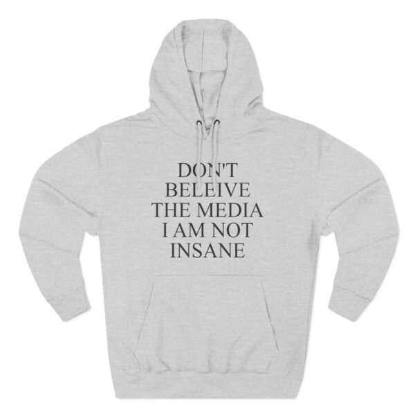 Joost Klein Don't Believe the Media I Am Not Insane Three-Panel Fleece Hoodie - Image 3