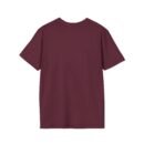 Alan Wake Falls souvenir Unisex Softstyle T-Shirt