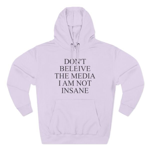 Joost Klein Don't Believe the Media I Am Not Insane Three-Panel Fleece Hoodie - Image 13